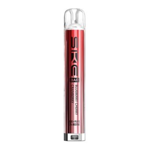 SKE BAR Prefilled Vape Kit - Blueberry Cherry Cranberry